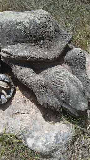 Tortugas esculpidas en granito Gallery - Spain