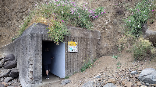 The Tunnel - Visual