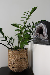 Photo n°3 de Lucile Renaud, diététique et Reiki à Toulouse à Toulouse (Centre de bien-être)