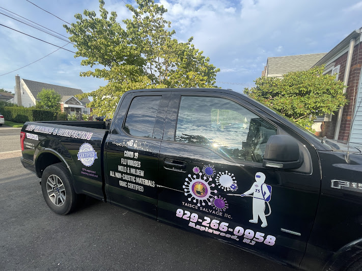 Tasice Mold Removal & Cleaning photo