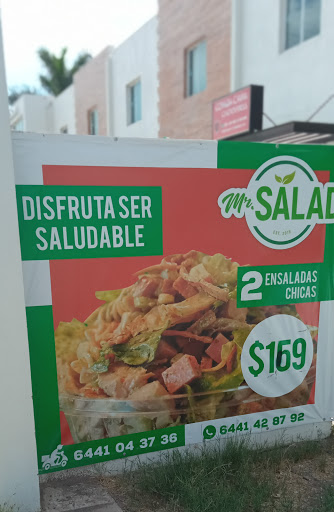 Mr. Salad - Visual