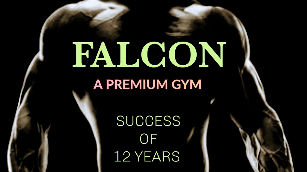 Falcon Fitness Hub
