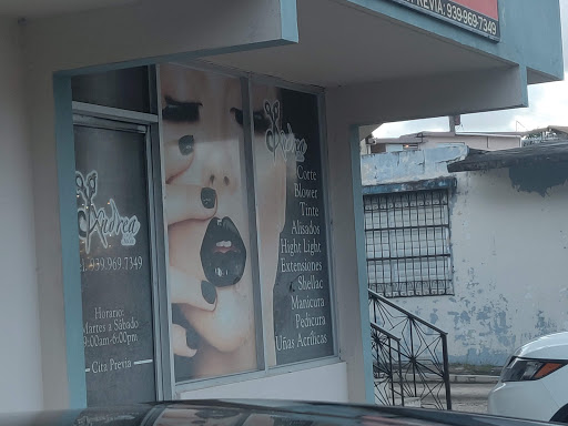 Andrea salon Gallery - United States