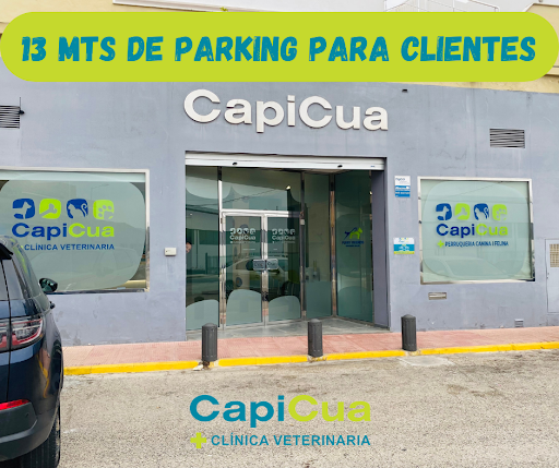 Clínica Veterinaria Cap i Cua l'Alqueria-URGENCIAS