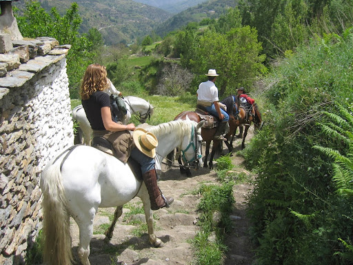 Caballo Park - Visual
