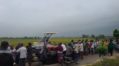 Photos of Tani Mabrur Energic