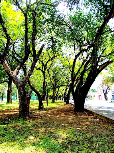 Photos of Plaza Ecuador