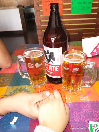 Colibri PUB - Visual