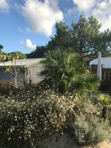 Photo de Les dunes , Villa de plage avec piscine à Vensac (33590)