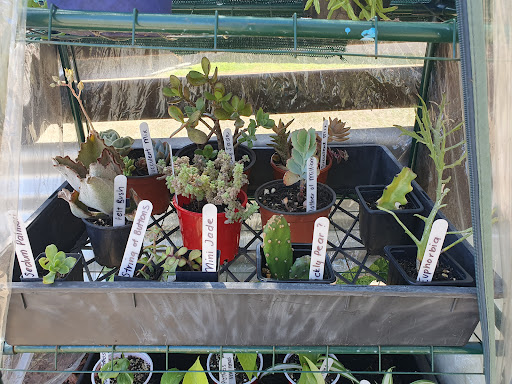 Coucal Close Plant Library