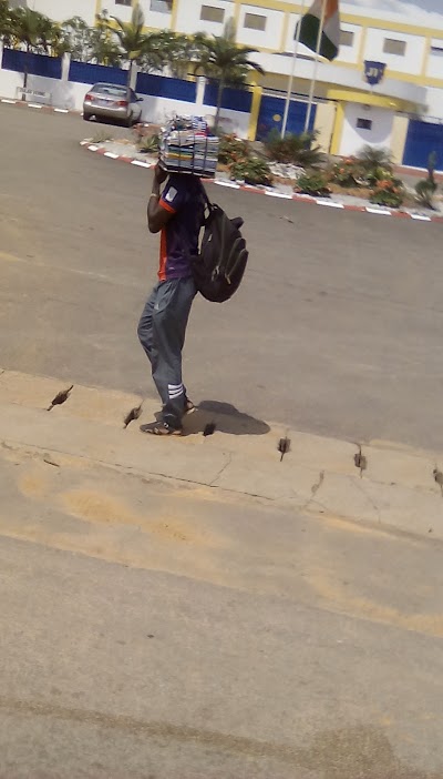 school