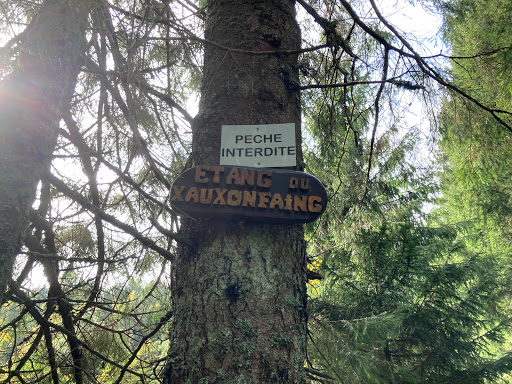 Étang Pralethia - Thumbnail