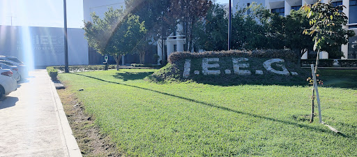 Junta Ejecutiva Regional IEEG Guanajuato - Thumbnail