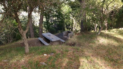 Photos of Camping Bandurrias