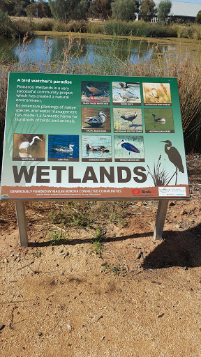 Pinnaroo Wetlands - Thumbnail