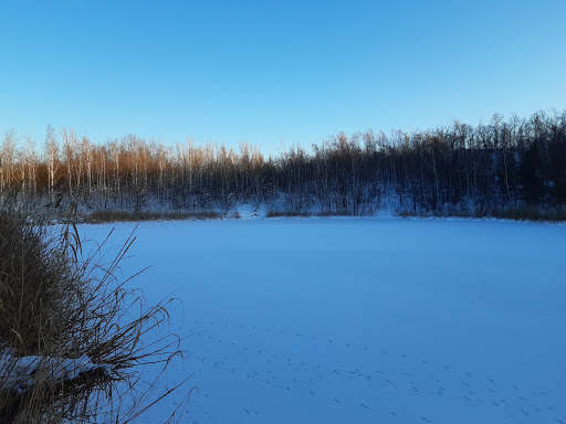Teiche bei Lieskau - Thumbnail