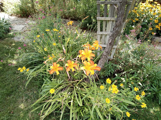 Photo de Ermanni Jardins et Piscines à Oppède (84580)