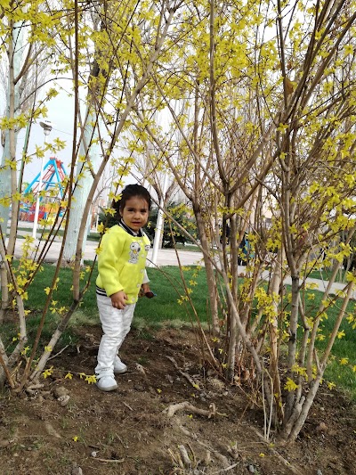 Photos of Aftab Amusement Park