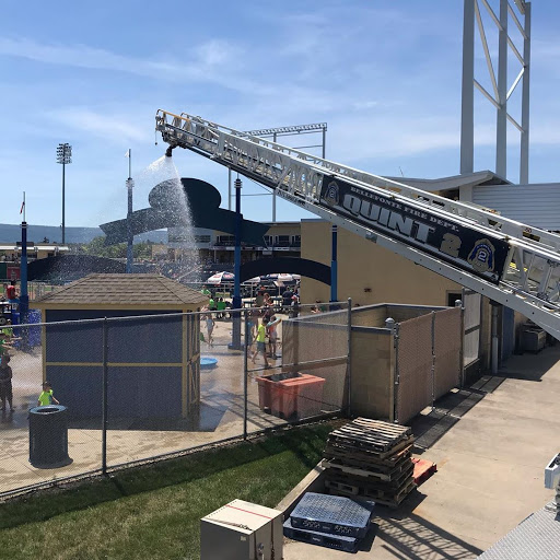 Medlar Field - Thumbnail
