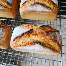 Photo n°4 de Boulangerie TAMASINI à Puteaux (Boulangerie)