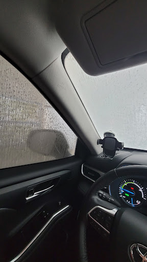 Bear Wash - Visual
