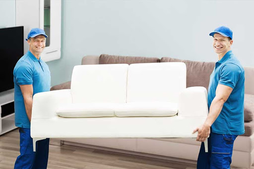 Mooved Removalist - Visual