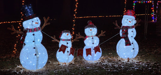 Harris Family Christmas Lights - Thumbnail
