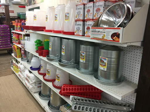 Manning's Feed & Seed - Milton - Thumbnail
