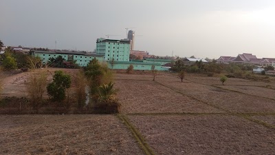 Photos of 越南红木店