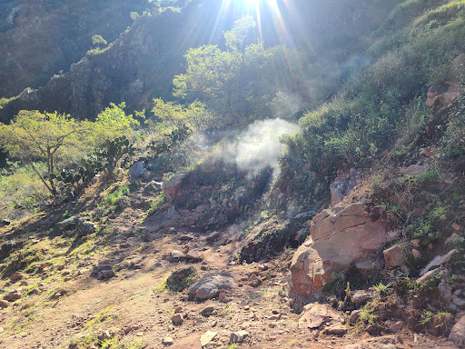 Fumarolas Volcán El Ceboruco - Thumbnail