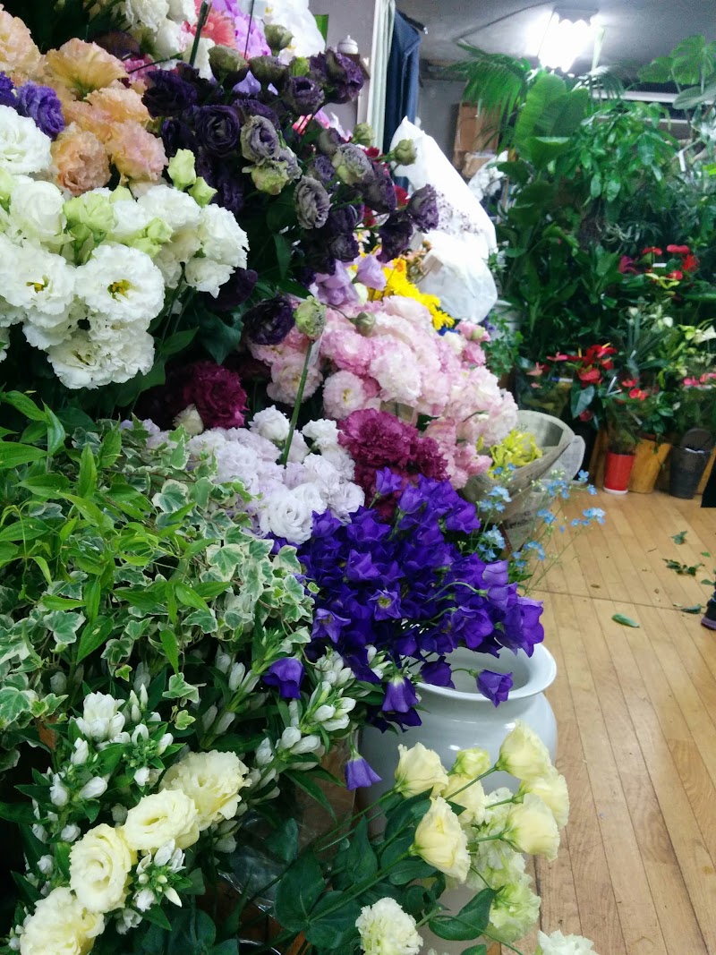 パーム ハウス 東京都世田谷区三宿 花屋 花 グルコミ