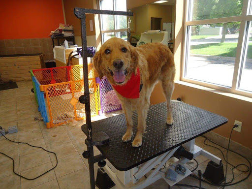 KNOTTY Paws Gallery - United States