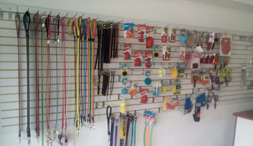 Clinica Veterinaria