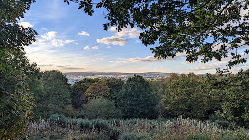 Old Park Wood