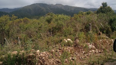 Photos of La Estaci&oacute;n, mercadito de Los Hornillos
