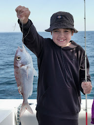 Photo n°5 de Prédation pêche à Le Grau-du-Roi (Location de bateaux de pêche)