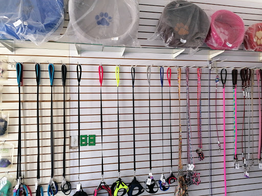 Veterinaria Los Cabos