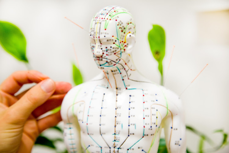 Heilpraktikerin Nina Neubert - Praxis für TCM & Akupunktur