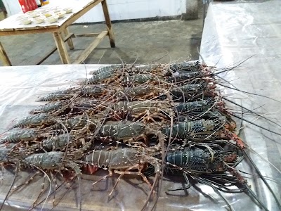 Photos of Narikel Jinjira Restaurant নারিকেল জিনজিরার রেস্তোরাঁ