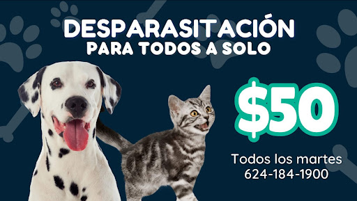 Veterinaria The Vet Cabo