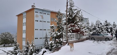 Yeşilyurt Anadolu İmam Hatip Lisesi