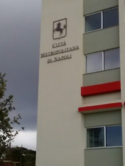 Liceo Scientifico Statale A. Labriola Sede Centrale