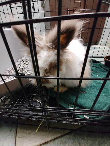 Southpointe Veterinary Hospital