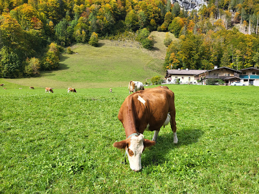 Naturpark Weißbach - Thumbnail