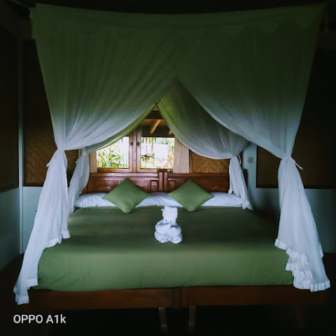 Bali Mountain Retreat by null