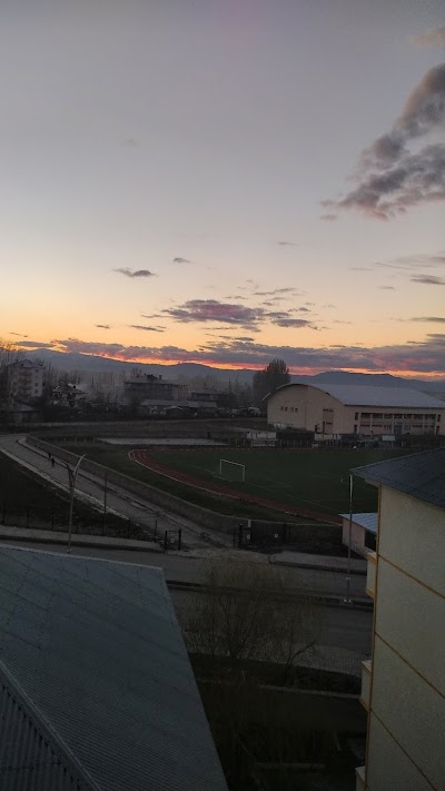 Bulanık Arena Stadı