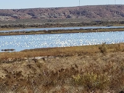 Bitter Lake National Wildlife Refuge