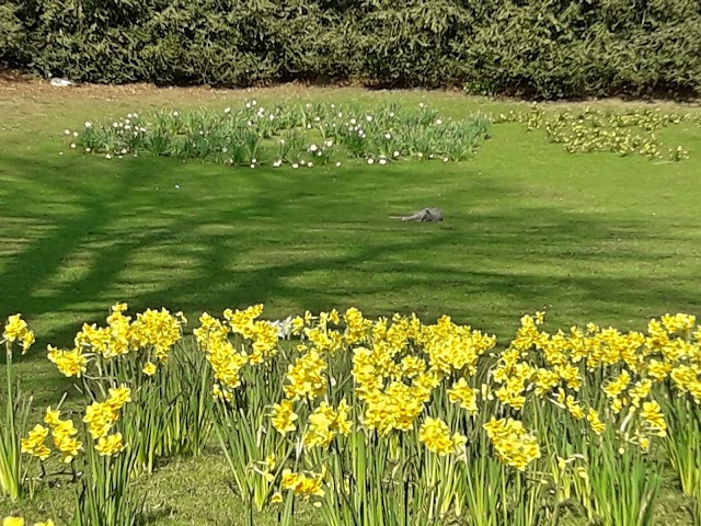 Parc de Clères