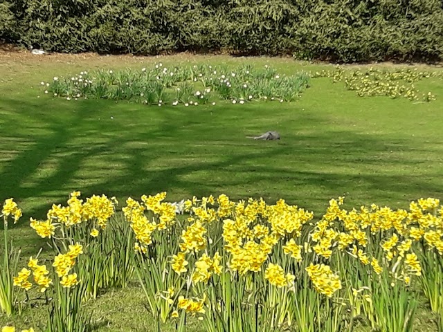 Parc de Clères