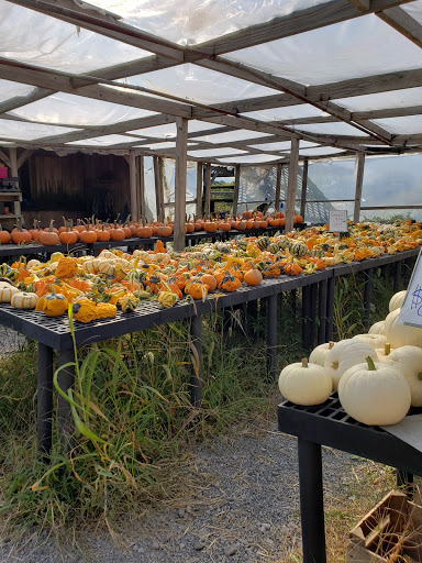 Country Garden Center Gallery - United States